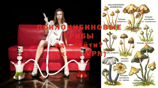 mdma Нефтекумск